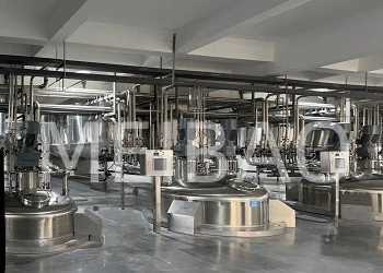 Liquid detergent production line put into production and operation